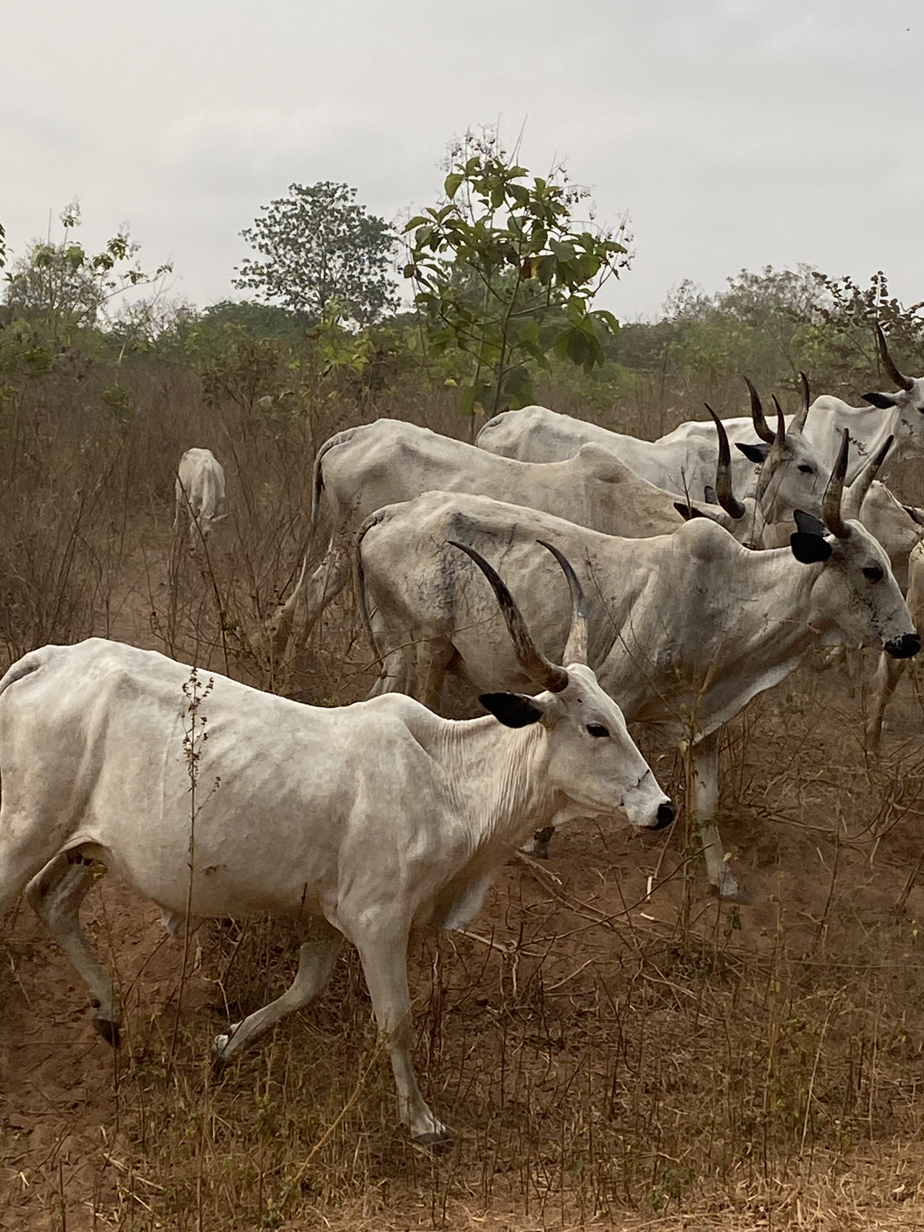 2026-01-17_09-45-39_248